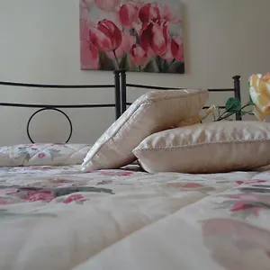 La Camelia Guest house